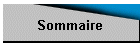 Sommaire