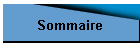 Sommaire